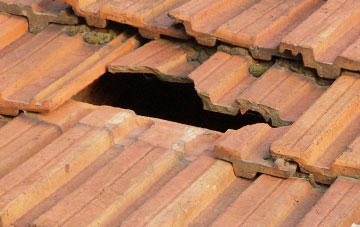 roof repair Malpas